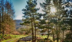 Photograph of Blaencwm park.